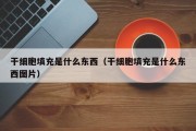 干细胞填充是什么东西（干细胞填充是什么东西图片）