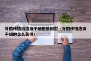 骨髓移植后造血干细胞基因型（骨髓移植造血干细胞怎么获得）
