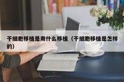 干细胞移植是用什么移植（干细胞移植是怎样的）