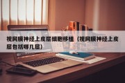 视网膜神经上皮层细胞移植（视网膜神经上皮层包括哪几层）