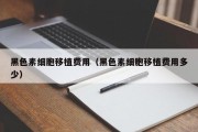 黑色素细胞移植费用（黑色素细胞移植费用多少）