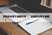 牙髓间充质干细胞作用（“牙髓间充质干细胞”）