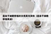 造血干细胞移植的分类英文简称（造血干细胞移植英语）