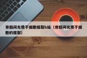 骨髓间充质干细胞提取b站（骨髓间充质干细胞的提取）