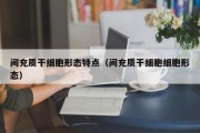 间充质干细胞形态特点（间充质干细胞细胞形态）