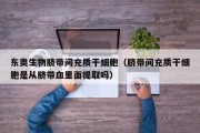 东奥生物脐带间充质干细胞（脐带间充质干细胞是从脐带血里面提取吗）