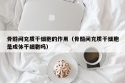 骨髓间充质干细胞的作用（骨髓间充质干细胞是成体干细胞吗）