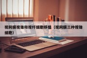 视网膜视锥和视杆细胞移植（视网膜三种视锥细胞）