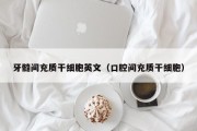 牙髓间充质干细胞英文（口腔间充质干细胞）