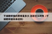 干细胞移植的费用是多少.百龄怎么找呢（干细胞移植亲身经历）