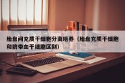 胎盘间充质干细胞分离培养（胎盘充质干细胞和脐带血干细胞区别）