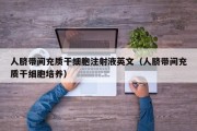 人脐带间充质干细胞注射液英文（人脐带间充质干细胞培养）