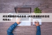 间充质细胞的特点包括（间充质细胞的形态结构特点）