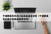 干细胞是生长因子能做面部填充吗（干细胞是生长因子能做面部填充吗）
