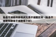 胎盘干细胞和脐带间充质干细胞区别（胎盘干细胞和脐带干细胞哪个好）