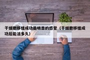 干细胞移植成功最明显的感觉（干细胞移植成功后能活多久）