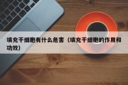 填充干细胞有什么危害（填充干细胞的作用和功效）