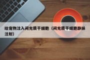 给宠物注入间充质干细胞（间充质干细胞静脉注射）