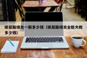 玻尿酸填充一般多少钱（玻尿酸填充全脸大概多少钱）