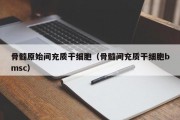 骨髓原始间充质干细胞（骨髓间充质干细胞bmsc）
