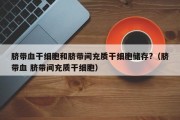 脐带血干细胞和脐带间充质干细胞储存?（脐带血 脐带间充质干细胞）