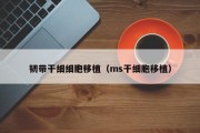 韧带干细细胞移植（ms干细胞移植）