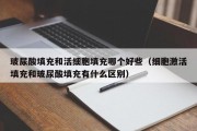 玻尿酸填充和活细胞填充哪个好些（细胞激活填充和玻尿酸填充有什么区别）