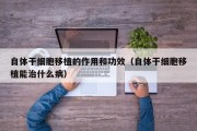 自体干细胞移植的作用和功效（自体干细胞移植能治什么病）