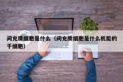 间充质细胞是什么（间充质细胞是什么机能的干细胞）