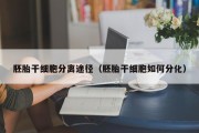 胚胎干细胞分离途径（胚胎干细胞如何分化）