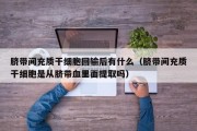 脐带间充质干细胞回输后有什么（脐带间充质干细胞是从脐带血里面提取吗）