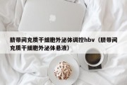 脐带间充质干细胞外泌体调控hbv（脐带间充质干细胞外泌体悬液）