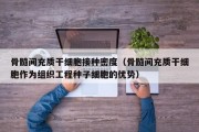 骨髓间充质干细胞接种密度（骨髓间充质干细胞作为组织工程种子细胞的优势）