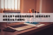 脐带充质干细胞是指脐带血吗（脐带间充质干细胞是全能干细胞吗）