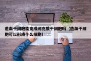 造血干细胞能变成间充质干细胞吗（造血干细胞可以形成什么细胞）